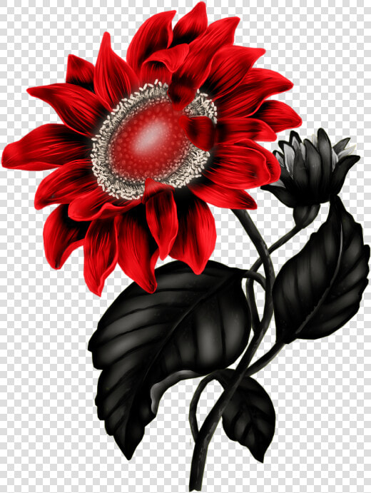 Sunflower Png  Sunflower Clipart  Art Flowers  Flower   Real Sunflower Transparent Background Red Sunflower  Png DownloadTransparent PNG