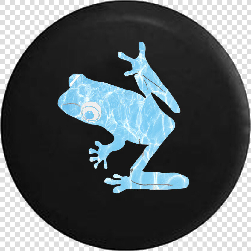 Tree Frog Water Reflection   True Frog  HD Png DownloadTransparent PNG