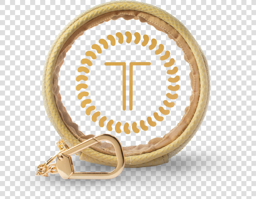 Teleties Logo  HD Png DownloadTransparent PNG