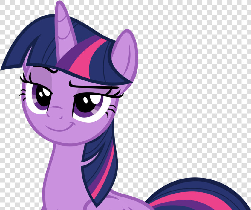 Twilight Vector Smug   Png Download   Twilight Sparkle Alicorn Bedroom  Transparent PngTransparent PNG