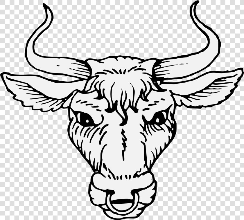 Transparent Bull Horns Png   Bull Head Cabossed  Png DownloadTransparent PNG