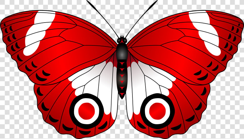 Butterfly Cliparts Png Red   Red Butterfly Clipart  Transparent PngTransparent PNG