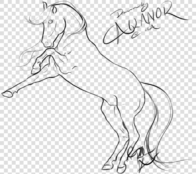 Transparent Jousting Lance Clipart   Rearing Horse Lineart  HD Png DownloadTransparent PNG