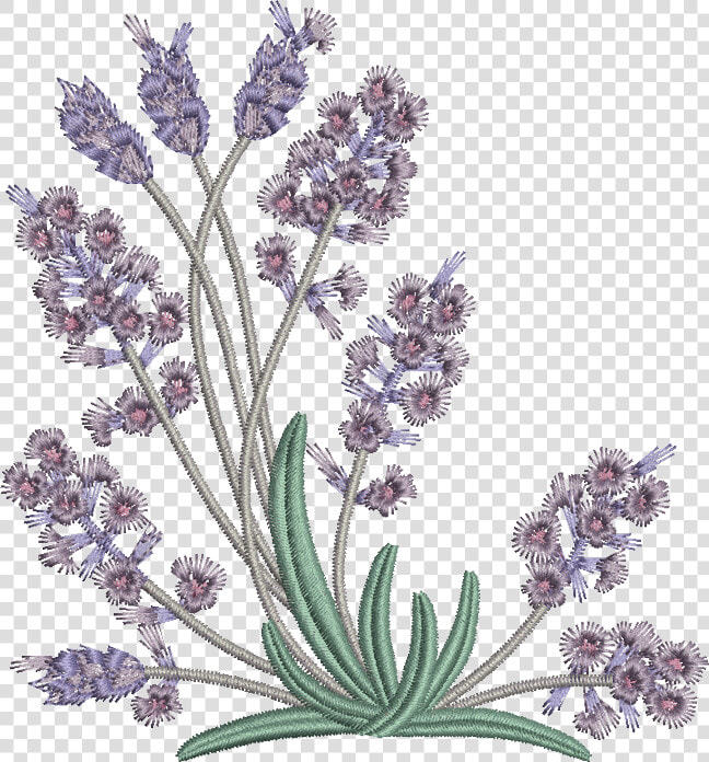 Embroidery Pattern Lavender Flowers   Png Download   Flower Embroidery Designs Lavender  Transparent PngTransparent PNG