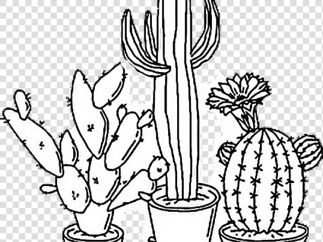 Drawn Cactus Tumblr Transparent   Cactus Drawing Transparent  HD Png DownloadTransparent PNG