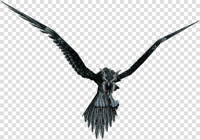 World Of Warcraft Wiki   Wow Druid Storm Crow  HD Png DownloadTransparent PNG