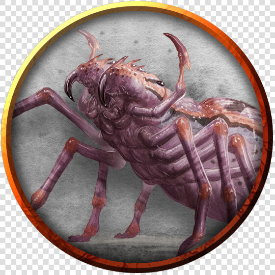 Monster   Png Download   Giant Wolf Spider Dnd 5e  Transparent PngTransparent PNG