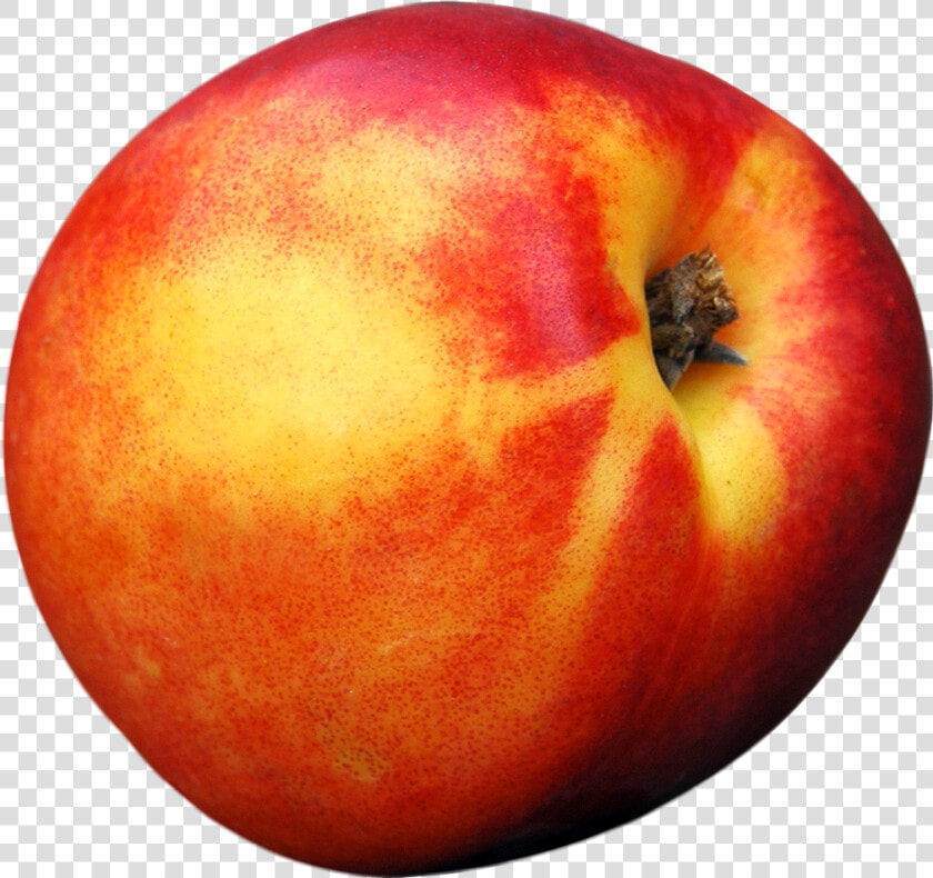 Peach Png Image Image   Single Peach Png  Transparent PngTransparent PNG