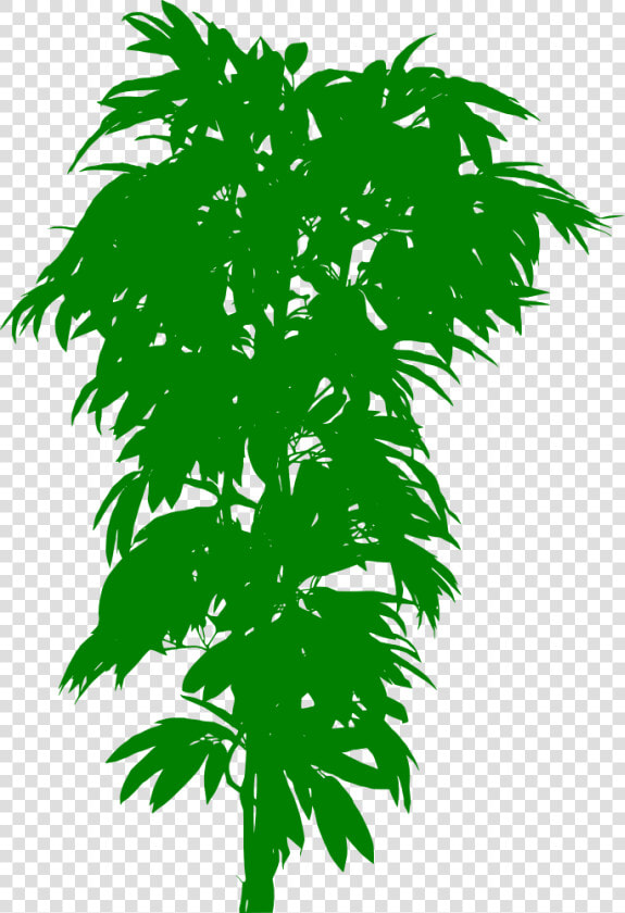 Silhouette Arbre   Manguier En Pot  HD Png DownloadTransparent PNG