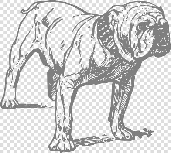 Dessin De Chien Bulldog  HD Png DownloadTransparent PNG