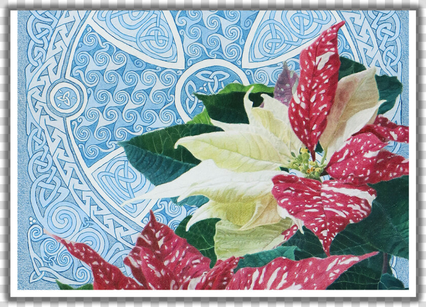 Good Tidings Of Great Joy Poinsettia Christmas Card   Anthurium  HD Png DownloadTransparent PNG