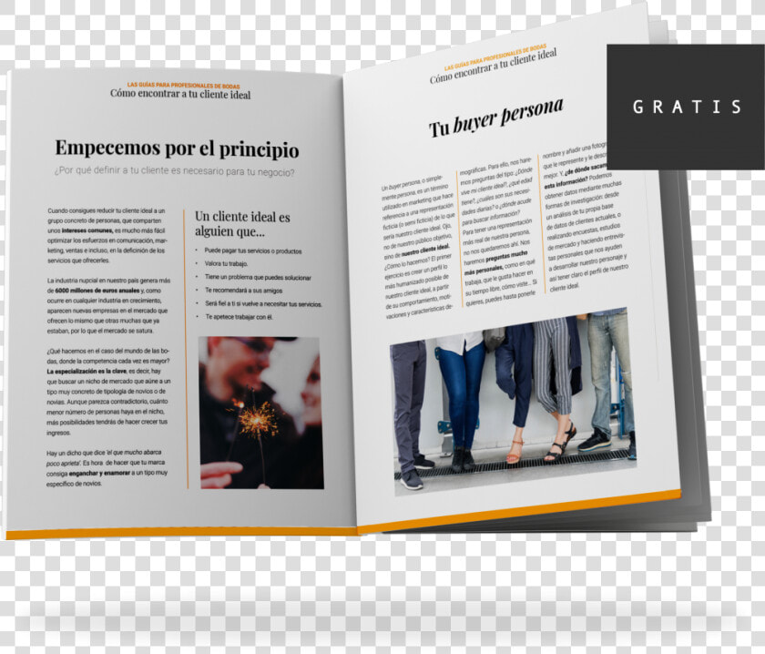 Como Encontrar A Tu Cliente Ideal Si Eres Profesional   Brochure  HD Png DownloadTransparent PNG