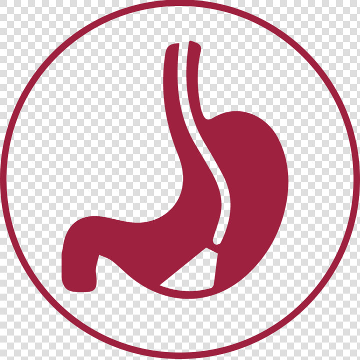 Rwj Endoscopy Icon  HD Png DownloadTransparent PNG