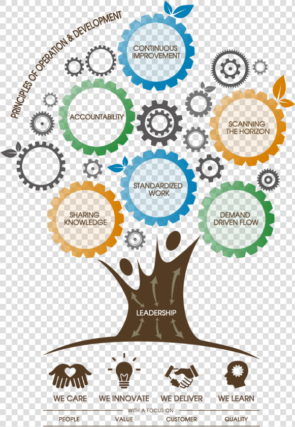 4 Our Value Tree   Circle  HD Png DownloadTransparent PNG