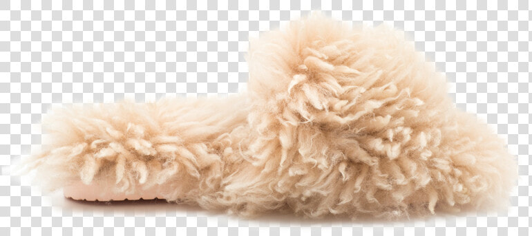 Cozy Slipper By Inuikii   Plush  HD Png DownloadTransparent PNG