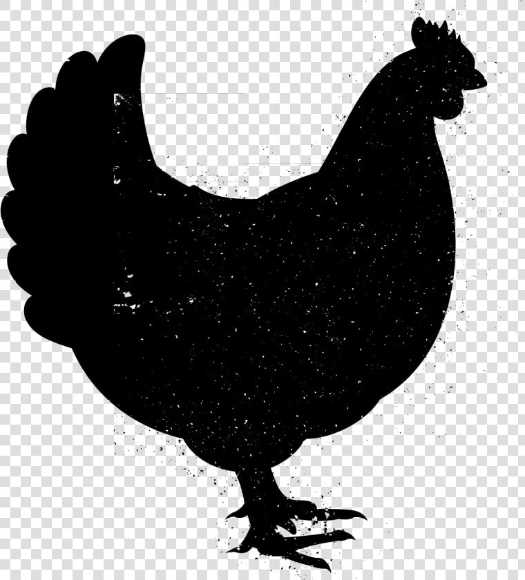 Pre cooked Chicken Burger Made From 100  Dutch Chicken   Vector Black Chicken Png  Transparent PngTransparent PNG