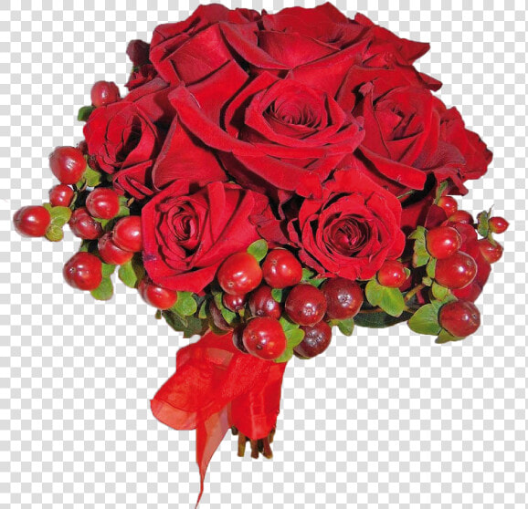 Floribunda  HD Png DownloadTransparent PNG