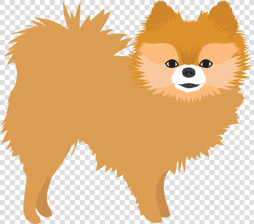 Pomeranian  HD Png DownloadTransparent PNG