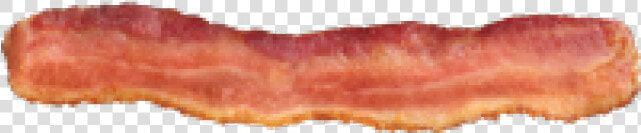 Bacon Png Transparent Images   Bacon Png  Png DownloadTransparent PNG