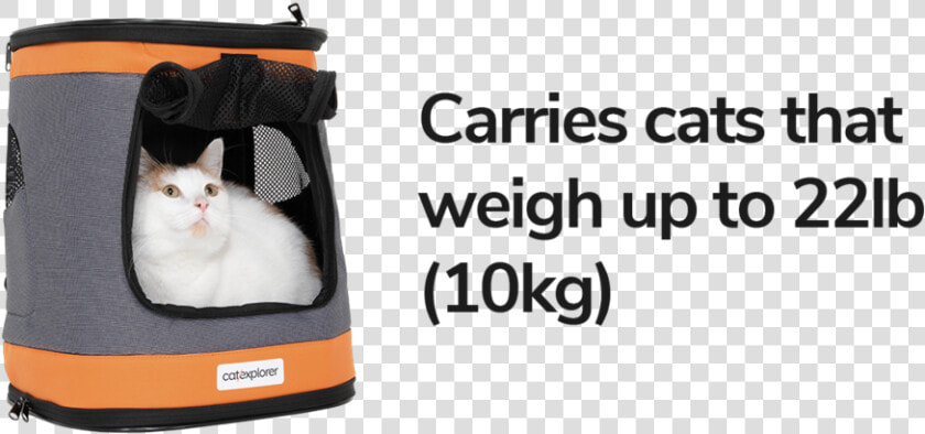 Cat Backpack Ranger Cats 22lb 10kg   Worldskills 2011  HD Png DownloadTransparent PNG