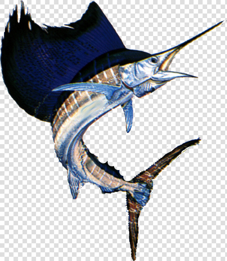 Failfish Transparent Taxidermy   Black Sailfish Transparent Background  HD Png DownloadTransparent PNG