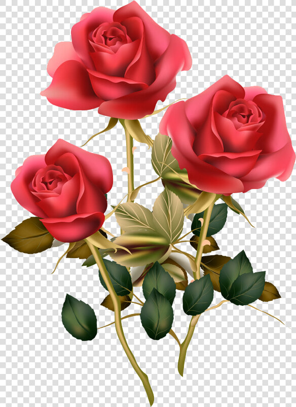 Floral Design Png Transparent Image   Red Rose Good Morning Rose Flower  Png DownloadTransparent PNG