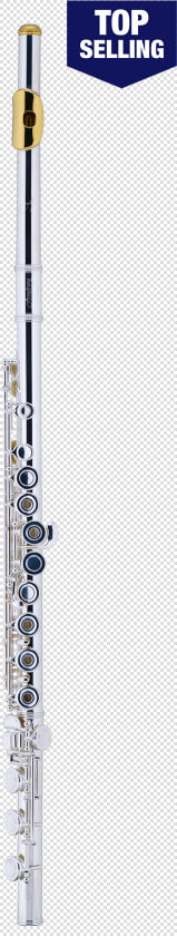 Armstrong Flute 102  HD Png DownloadTransparent PNG