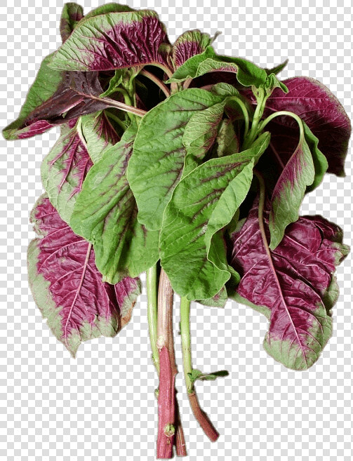 En Choy   Chinese Purple Spinach  HD Png DownloadTransparent PNG