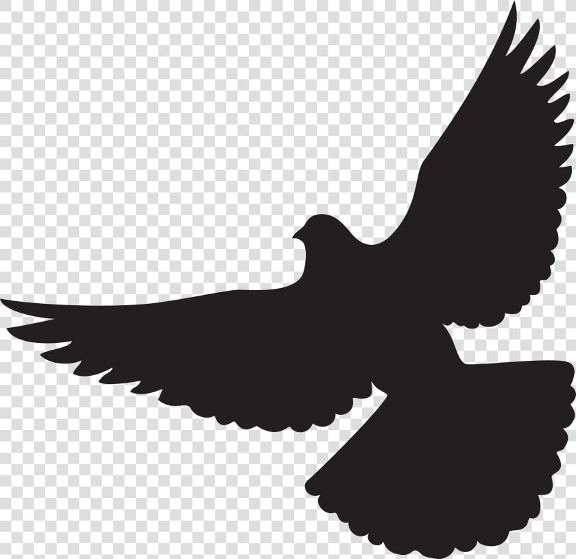 Columbidae Silhouette Clip Art  HD Png DownloadTransparent PNG