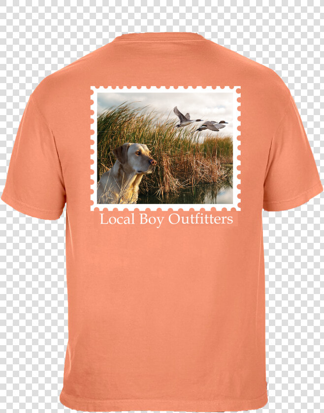 Yellow Lab Short Sleeve T Shirt Class Lazyload Lazyload   Local Boy Outfitters Hats  HD Png DownloadTransparent PNG