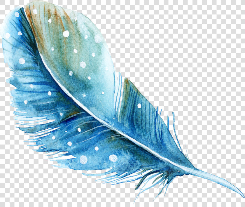 Feather Watercolor Painting   Feather Watercolor Png  Transparent PngTransparent PNG