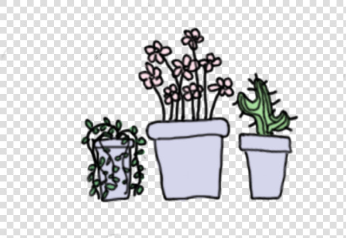  plants  cactus  succulent  drawing  pastel  cute  aesthetic   Plants Are Friends Quotes  HD Png DownloadTransparent PNG