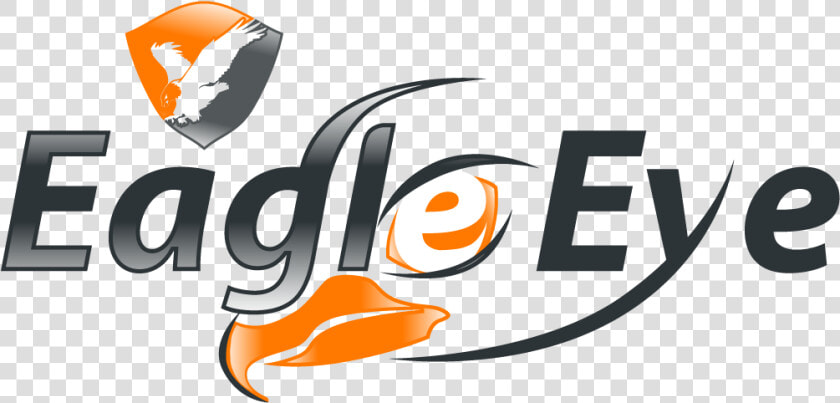 Transparent Eye Logo Png   Eagle Eye  Png DownloadTransparent PNG