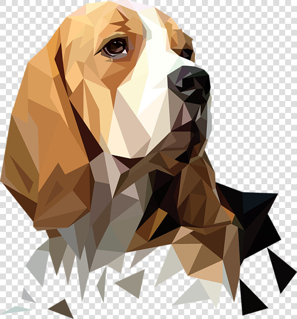 Beagle Vector  HD Png DownloadTransparent PNG