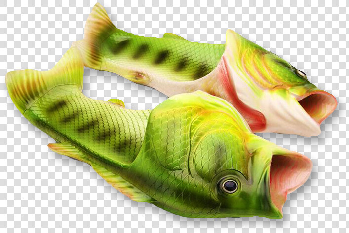 Perch  HD Png DownloadTransparent PNG