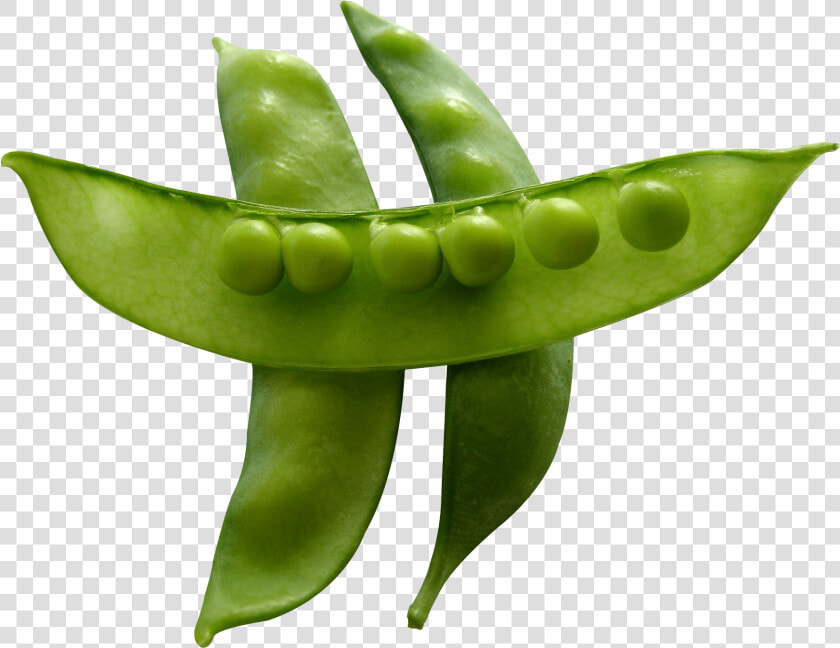 Snow Peas   Snow Peas Png  Transparent PngTransparent PNG