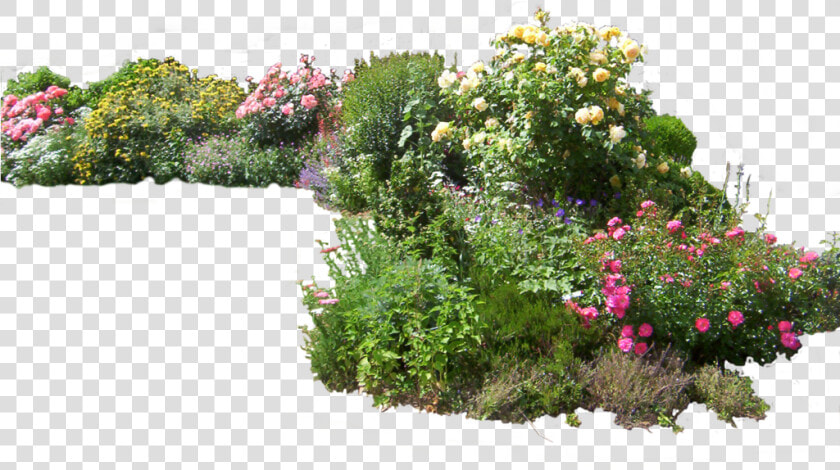 Transparent Background Flower Garden Png   Transparent   Flower Landscaping Png  Png DownloadTransparent PNG