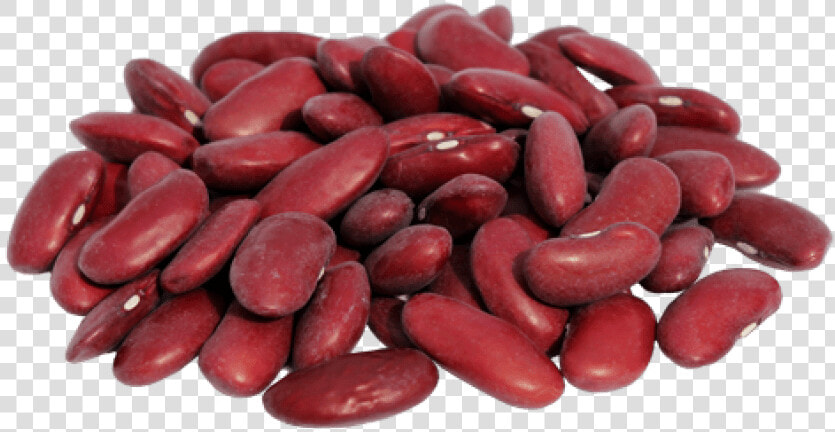 Red Beans And Rice Kidney Bean Adzuki Bean Chili Con   Kidney Beans Transparent Background  HD Png DownloadTransparent PNG