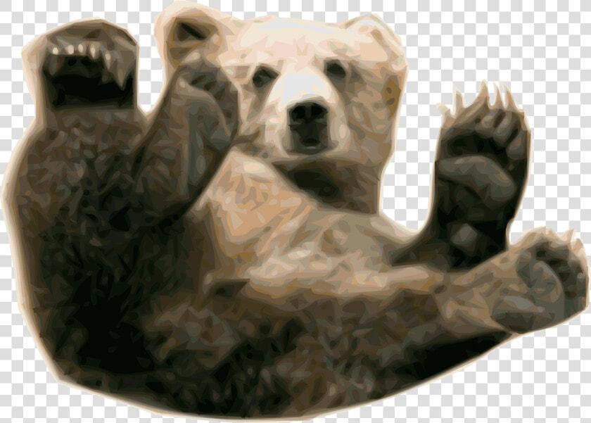 Grizzly Bear Png   Transparent Grizzly Bear  Png DownloadTransparent PNG