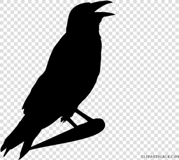 Halloween Crow Clipart   Black Halloween Crows Clip Art  HD Png DownloadTransparent PNG