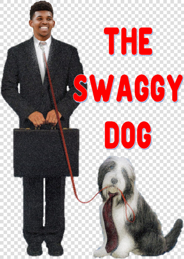 Disney  39 s The Shaggy Dog Dvd  HD Png DownloadTransparent PNG