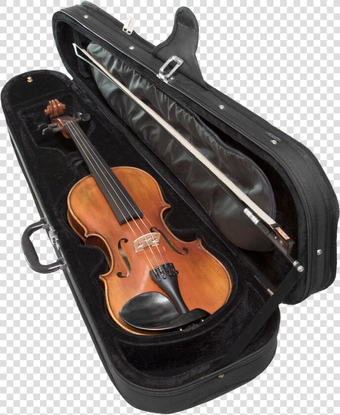 Picture   Viola  HD Png DownloadTransparent PNG