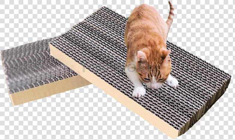 Corrugated Cardboard Rectangle Cat Scratch   Cat Grabs Treat  HD Png DownloadTransparent PNG