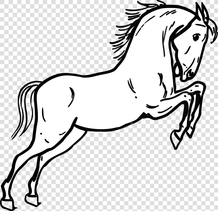 Horse Clipart Black And White   Mustang Horse Coloring Page  HD Png DownloadTransparent PNG