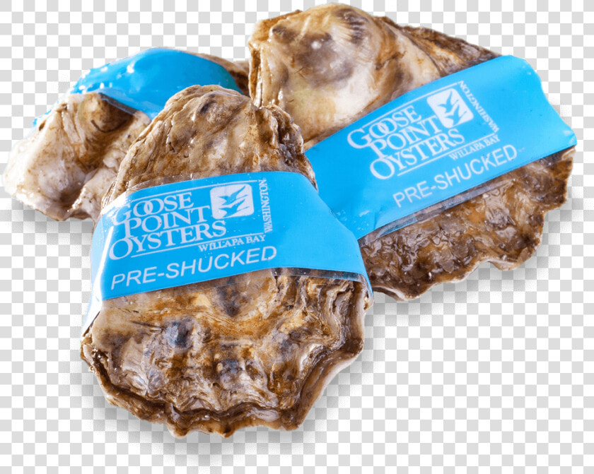 Goose Point Oysters Whole  HD Png DownloadTransparent PNG