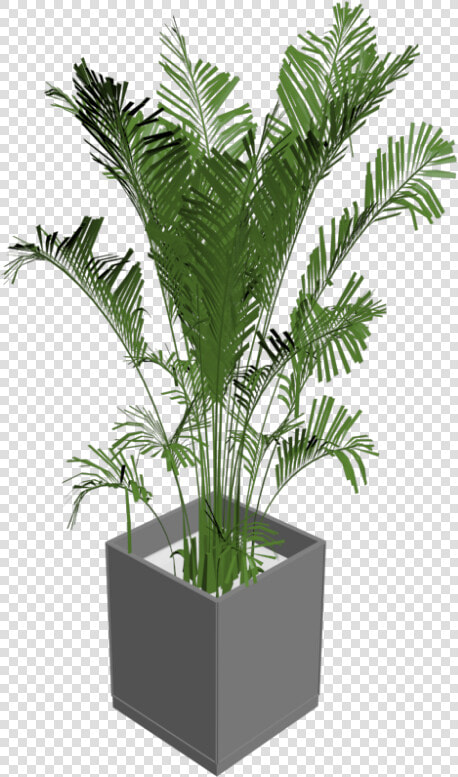 Green Indoor Plants Png   3d Plant Png  Transparent PngTransparent PNG