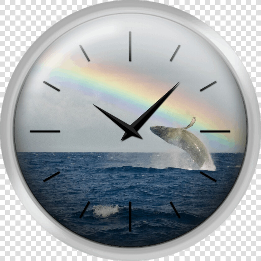 Humpback Whale Rainbow Breach   Wall Clock  HD Png DownloadTransparent PNG