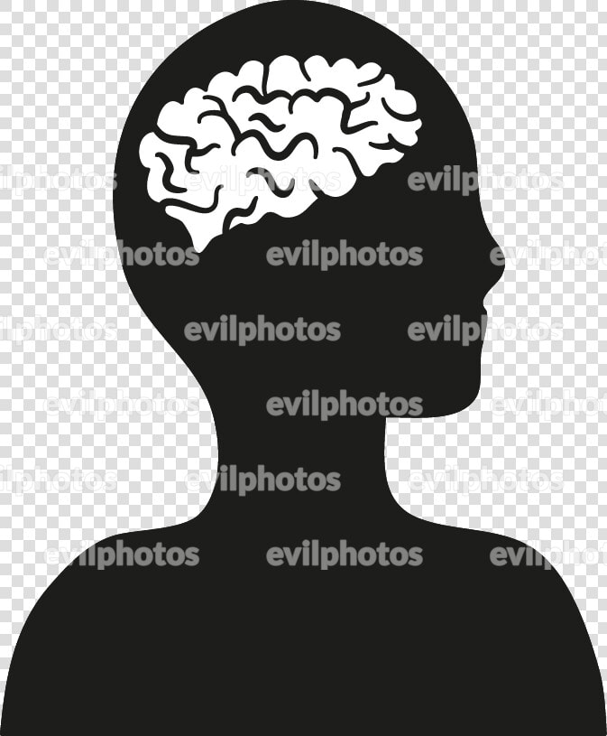 Brain Drawing Vector And Stock Photo   Illustration  HD Png DownloadTransparent PNG