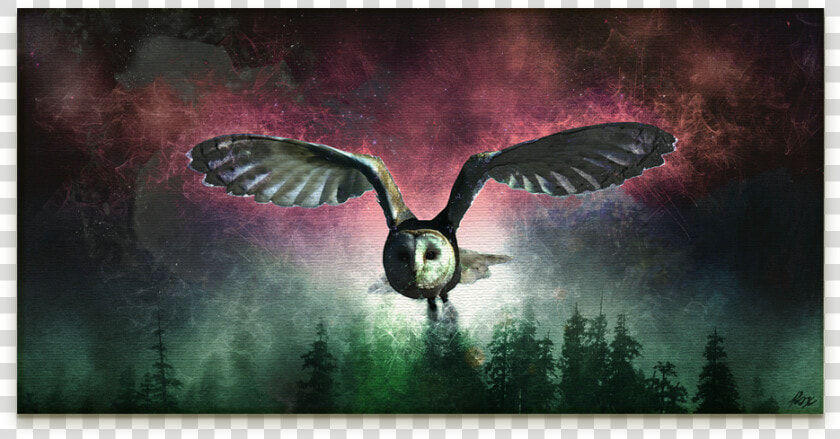 Flying Owl Digital Art On Canvas   Barn Owl  HD Png DownloadTransparent PNG