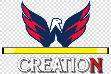 Washington Capitals Logo Transparent  HD Png DownloadTransparent PNG